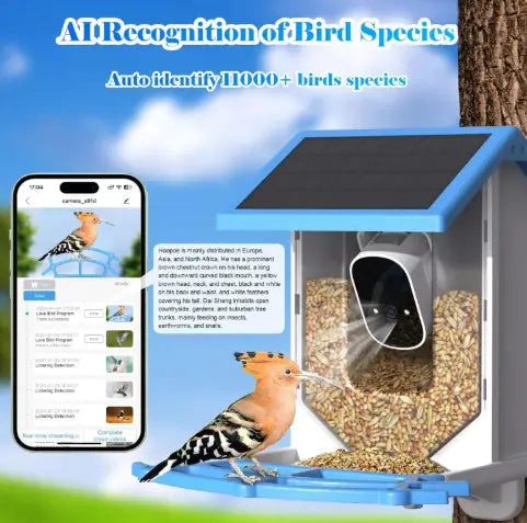 Solar Bird Feeder With Camera